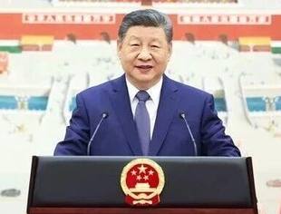 习近平接受外国新任驻华大使递交国书