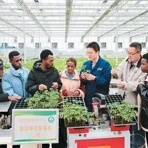 外媒关注2026年“中非人文交流年”启动——“中非多领域合作取得里程碑式的巨大成就”