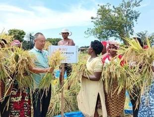 中国专家助力塞拉利昂农业发展焕新