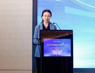 中非发展基金总裁马丽出席2026中非民间商会企业家南沙会议