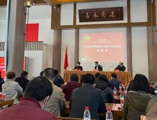 【川商党建】中共天津市四川商会党总支书记严映中同志参加学习宣传贯彻党的十九届六中全会精神部署会