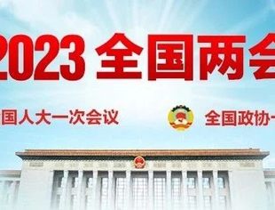 【川商聚焦】新时代新征程新伟业·天津市四川商会组织学习全国两会精神