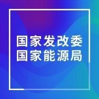 【两部委】发布2020年可再生能源电力消纳责任权重通知