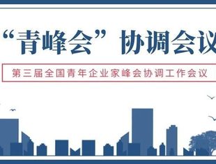 【秘书长】曾少军参加“青峰会”协调会议