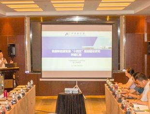 【十四五】商会启动新能源规划，曾少军秘书长主持研讨