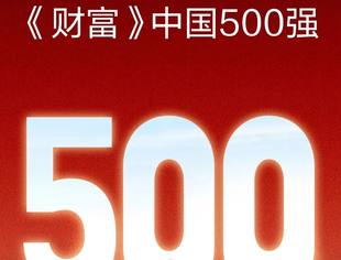 【会长单位】隆基绿能入选2025《财富》中国500强，位列第227位