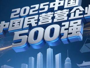 【权威发布】我会20家会员单位入围“2025中国民营企业500强”