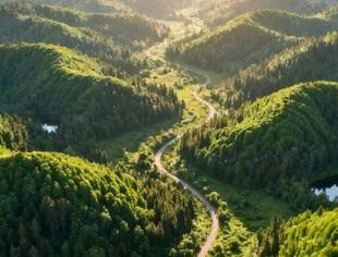 【人民日报】全国碳市场建设迈入新阶段