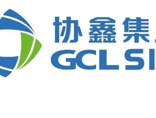 【新常务副会长】协鑫集成科技股份有限公司总裁蒋卫朋