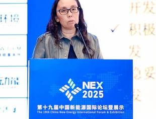 【NEX 2025】发改委能源所时璟丽：新能源发展战略与前景