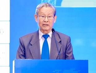 【NEX 2025】杜祥琬院士：可再生能源必将成为照亮未来的绿色之光