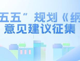 【全国工商联】“十五五”规划《纲要》意见建议征集