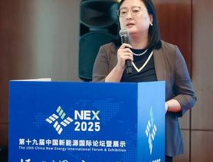 【NEX 2025】飔合科技：海上新能源项目的CCER开发