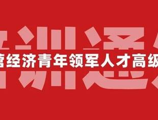 【全国工商联】民营经济青年领军人才高级研修班•新能源专题