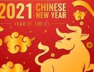 全联汽摩配商会恭祝您：新春快乐，万事如意！！