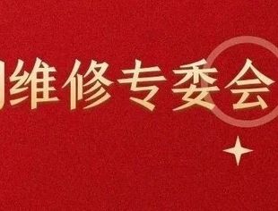 商会机动车检测维修专委会线上举办2019年工作总结会