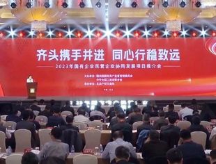 商会会长张晓平出席2023 年国有企业民营企业协同发展项目推介会并作主题发言