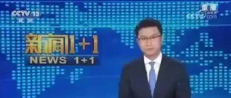 商会会长张晓平出席长三角企业联盟会议并接受央视专访