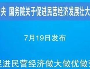 中共中央 国务院关于促进民营经济发展壮大的意见