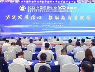 2023中国民营企业500强峰会暨全国优强民营企业助力山东绿色低碳高质量发展大会在济南举行