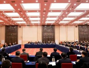 【聚焦浙江两会】张晓平会长在省政协民建工商联经济界联组讨论政府工作报告积极发言
