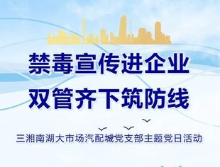 三湘南湖大市场汽配城党支部开展禁毒宣传讲座