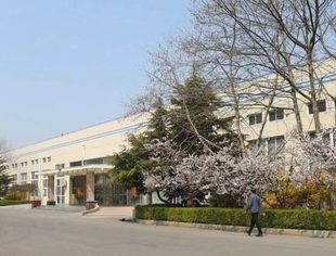 政企合力新典范 | 商会副会长单位大连德迈仕受到省政府通报表扬