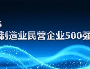 2025中国制造业民营企业500强榜单