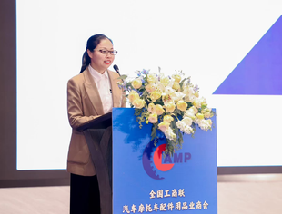 泰案联刘海英:全球汽车后市场洞察,中国厂商的机遇