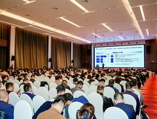 双环研究院院长张戎在2025中国汽车零部件新质生产力产业对接大会上的主题演讲