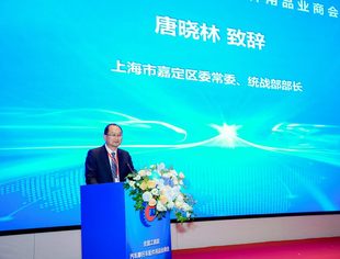 上海市嘉定区常委、统战部部长唐晓林在2025中国汽车零部件新质生产力产业对接大会上的致辞