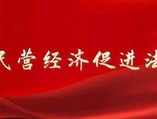 为民营经济持续、健康、高质量发展提供坚实法治保障——“中国经济圆桌会”共话民营经济促进法出台