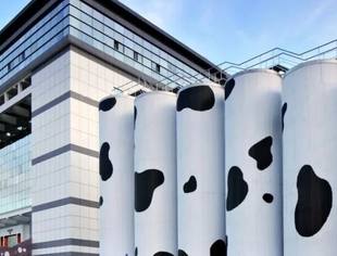 给烘焙人的一份“内蒙古味道”来信:一场始于草原的产业价值升级