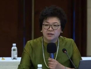 【会领导风采】提瑞婷副会长出席“助力民营经济高质量发展”座谈会并发言