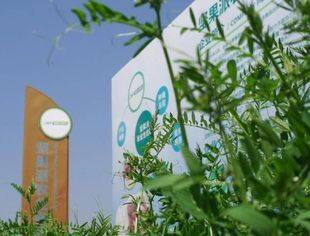 【理事企讯】洽洽荣登2024中国上市公司ESG百强榜