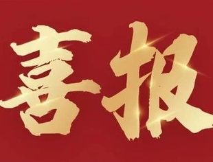 【会领导风采】林波当选第十三届民盟中央法制委员会委员
