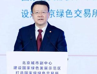 【会领导风采】王乃祥董事长在北京城市副中心打造国家级绿色交易所启动仪式上的情况汇报