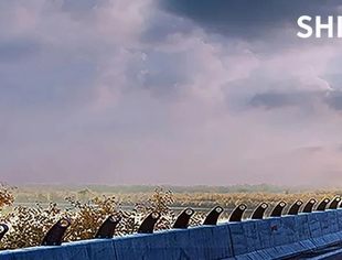 【理事企讯】信永中和董事长张克:在高质量发展之路上行稳致远