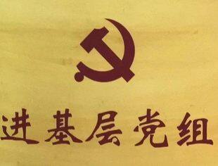 【理事企讯】中企华党支部荣获 “资产评估行业先进基层党组织”等表彰