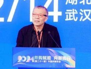王巍：唤醒资本市场的企业家精神|2024（第二十一届）中国并购年会回顾