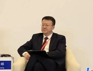 全联并购公会副会长、北京绿色交易所董事长王乃祥：氢能发展需要突破投融资瓶颈