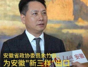 【理事风采】安徽省政协委员余竹云：打出“组合拳” 助企“高质量出海”