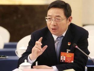 两会｜全国人大代表、并购公会理事王天宇：降低税费、补充资本、加快不良处置