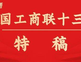 战略与站位：使命的召唤——全国工商联五年工作回眸（中）