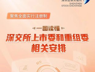 一图读懂深交所上市委和重组委相关安排