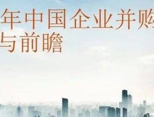 【中国并购交易趋势】2021年中国国内并购交易数量创下历史新高