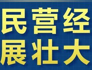 国务院报告明确！进一步促进民营经济发展壮大6方面重点工作