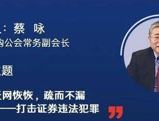 蔡咏：天网恢恢，疏而不漏——打击证券违法犯罪｜并购公会线上公益系列课程