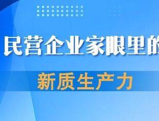 向新而行向新而进！雷军、周鸿祎、李东生等民营企业家解读新质生产力