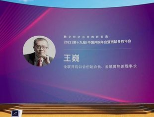 王巍:数字时代的并购与上市